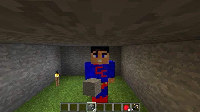 Minecraft Mods: " Pet Slow Mod 1.12.2 " смотреть онлайн