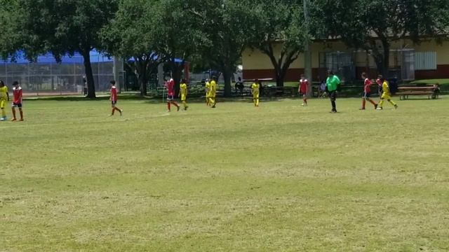 FRIENDLY Lauderhill Lions vs Coral Ridge Soccer Fury U13 5/4/19 1st half смотреть онлайн