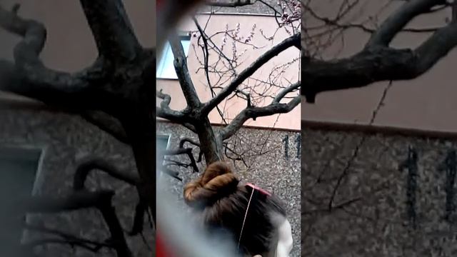 Вечерний влог смотреть онлайн