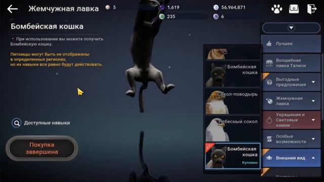 [BDM] Черный жемчуг. Куда тратить? Где взять? смотреть онлайн