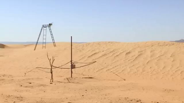 BBC Silver Desert Ant, Cataglyphis, Sahara Desert смотреть онлайн