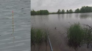 Карась, короткая дневная рыбалка на херабуну.