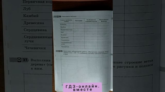 ГДЗ. Биология. 6 класс. В. Пасечник. Рабочая тетрадь. Параграф 9 смотреть онлайн