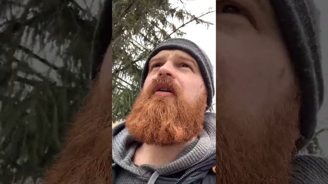 Про окружение и кто его создает смотреть онлайн