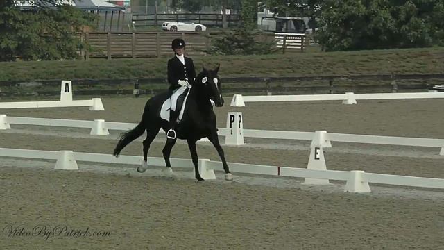 Lucille Sullivan on R Sabrina, 1st-1, HITs Dressage, Centerline, 8/20/2010 смотреть онлайн