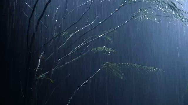 ? The intense rain of the forest washed away all the foliage in the forest at night смотреть онлайн