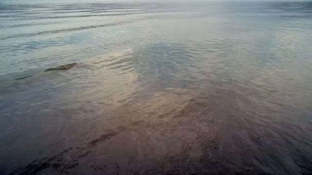 Марктан буянныг медээ. 8 эге 1-21 смотреть онлайн