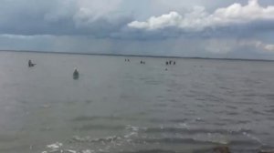 Соленое озеро в Гуселетово Романовского района Алтайского края