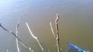 Ловля на полудонку