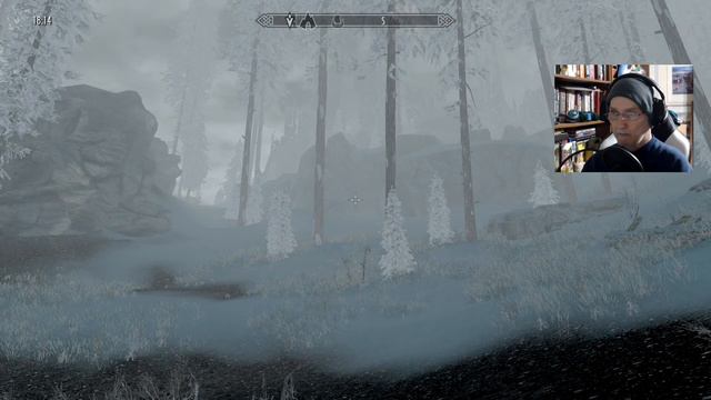 Skyrim Ep#82 ■ Body Double [1440p] смотреть онлайн
