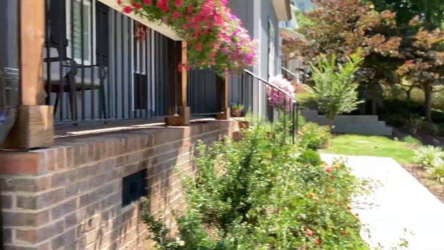 Supertunia Vista Window Boxes Week 8 Update + Storm Aftermath смотреть онлайн