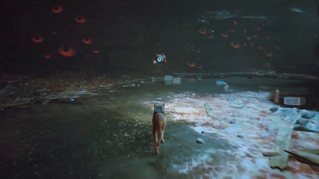 Stray | Канализация | Прохождение | Игра 2022 | Приключения | смотреть онлайн