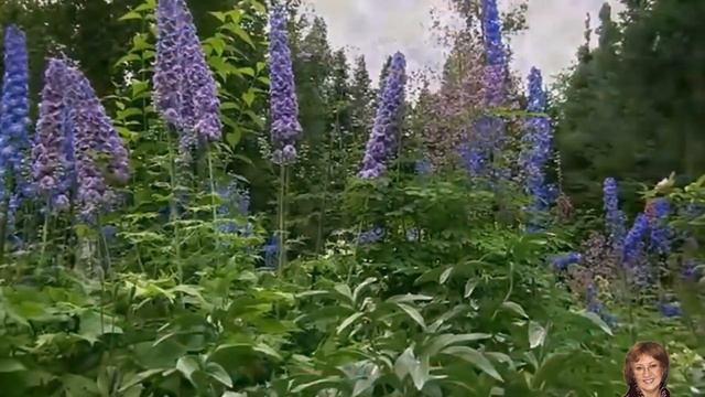 Твои зеленые глаза. Band Odessa смотреть онлайн