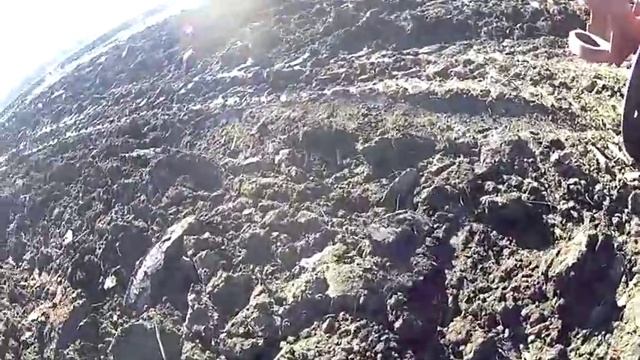 Дискование раскорчевки сада нью холланд т8040 и лесной дискатор смотреть онлайн