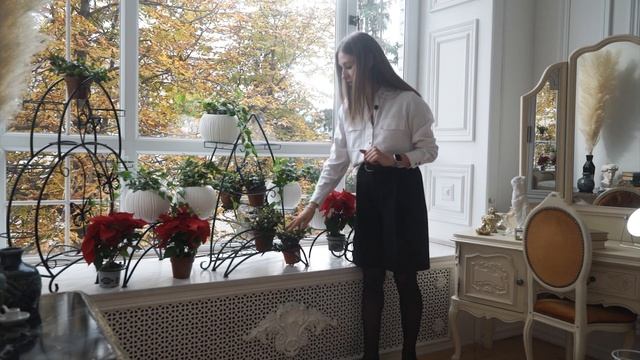 Подставки для цветов на окно ✔️ Цветы на подоконнике смотреть онлайн