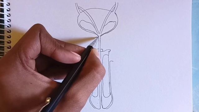 how to Draw Human Male Reproductive System Diagram step by step| Labelled Diagram смотреть онлайн