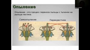 ЕГЭ по биологии. Занятие 7. Строение цветка. Типы опыления. Плоды и семена
