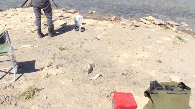 Июньская рыбалка смотреть онлайн