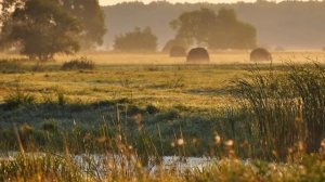 РОДИТЕЛЬСКИЙ ДОМ (сл. Виктории Корольковой, муз. ю. Старцева, видео Анфисы Сербиной)