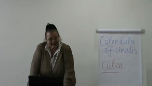 Calendula Officinalis
