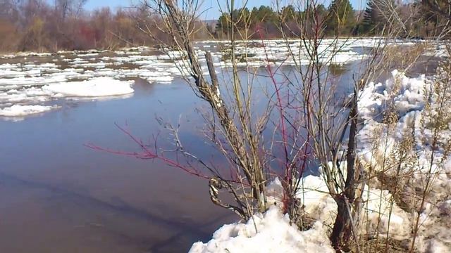 Ледоход. На Бирюсе. смотреть онлайн