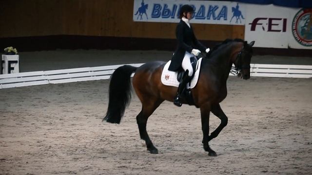 Alisa Glinka I Aachen CDI W Freestyle Test GPL