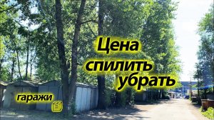 Цена за спил дерева в гаражах