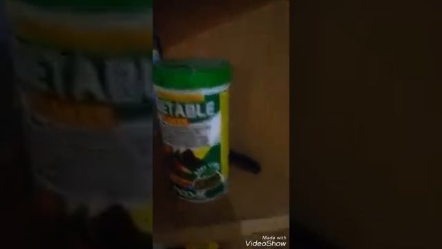 Вторая часть черепашка Ника!?Наберётся 500 лаков сниму черепашку подруги!? смотреть онлайн