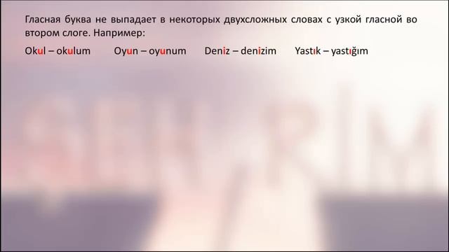 Турецкий язык. Урок 12. Выпадение гласных смотреть онлайн