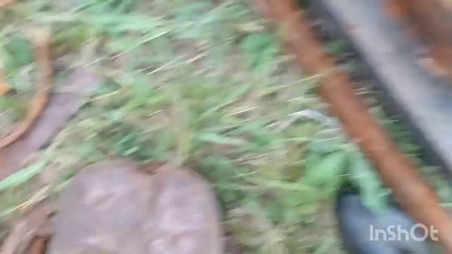 Сколько возможно накопать железа за 2 часа? смотреть онлайн