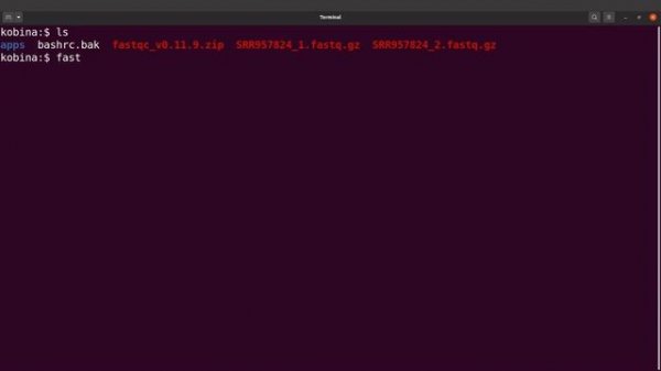 Fastqc Linux Install and Usage (Commandline & GUI)