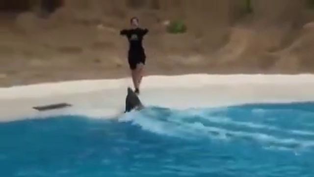 ما أجمل خلق الله سبحانه و تعالى смотреть онлайн