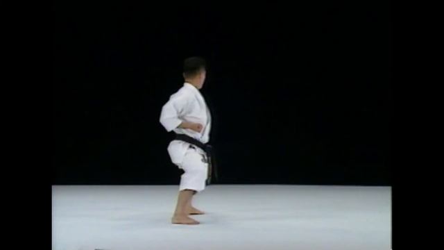 Дзион вид спереди