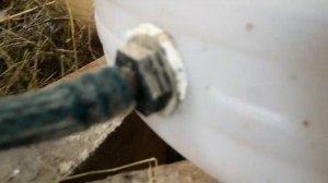 ниппельная поилка для гусей и обустройство хлева