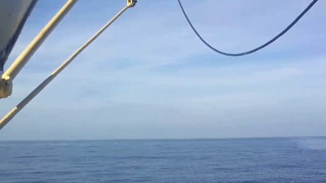 15.10.2015 Атлантический океан смотреть онлайн