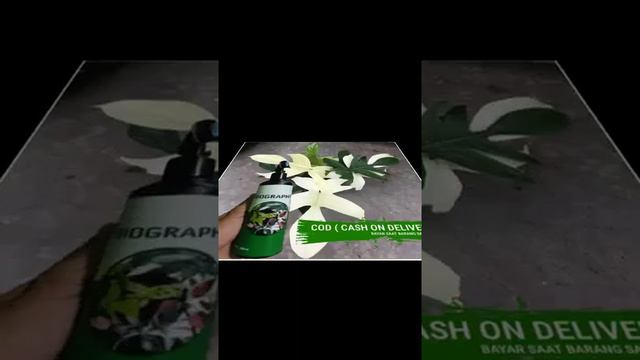BIOGRAPHY CAIRAN PEWARNA  TANAMAN HIAS (BAYAR DITEMPAT) 300ML