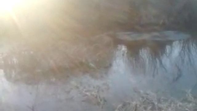 Бобер. Новополоцк. Двина. смотреть онлайн