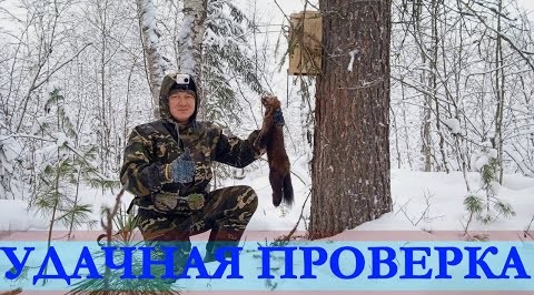 ОХОТА НА СОБОЛЯ. Серия № 9. Удачная проверка. #на соболя смотреть онлайн