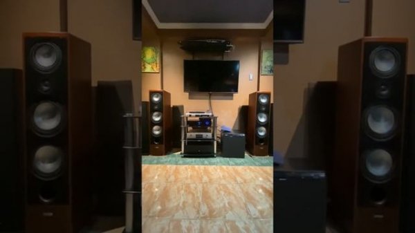 Canton ergo 695dc - anthem amp1 / troubles what your in