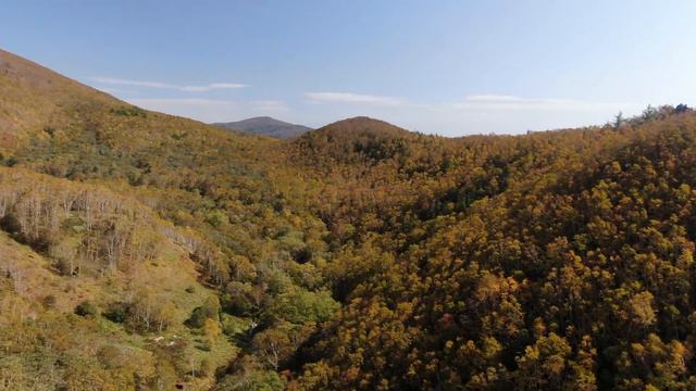 DJI 0253 смотреть онлайн