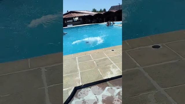 Ради и Мани на басейн в Златица ! смотреть онлайн