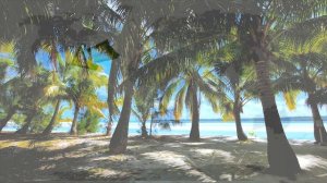 15 интересных фактов о Багамских островах