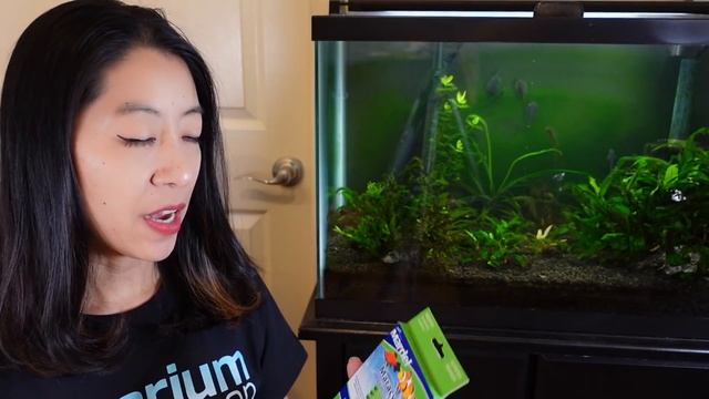 How to Fight Fungus on Aquarium Fish смотреть онлайн