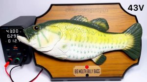 If High Voltage is Applied to the "Big Mouth Billy Bass"