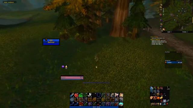 WoW Classic Hardcore: Tauren Elemental Shaman Cleanses Hillsbrad