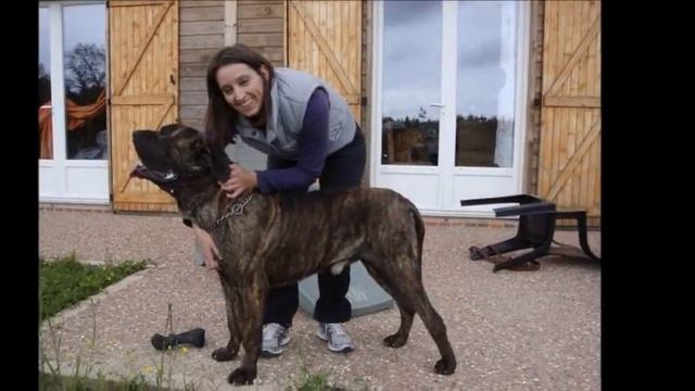 Mon film смотреть онлайн