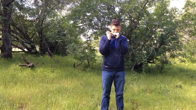 #184 Blessed Assurance-tremolo harmonica C смотреть онлайн
