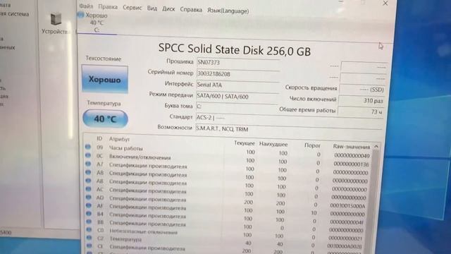 Ноут evision смотреть онлайн