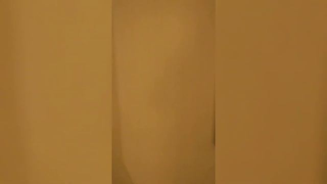 отель Meritim, с видом на взлетную полосу, город Дюссельдорф, поселили после отмены рейса смотреть онлайн