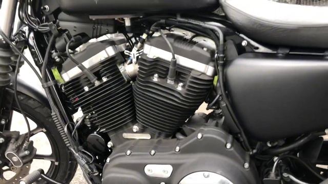 Harley-Davidson Sportster XL 883 Iron смотреть онлайн